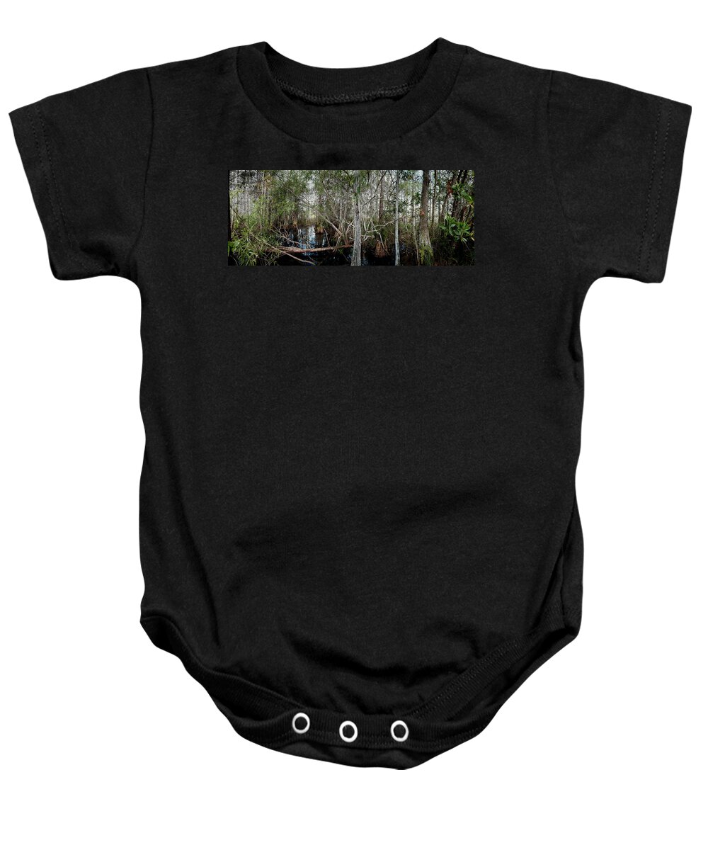 Everglades Baby Onesie featuring the photograph Everglades Swamp-1 by Rudy Umans