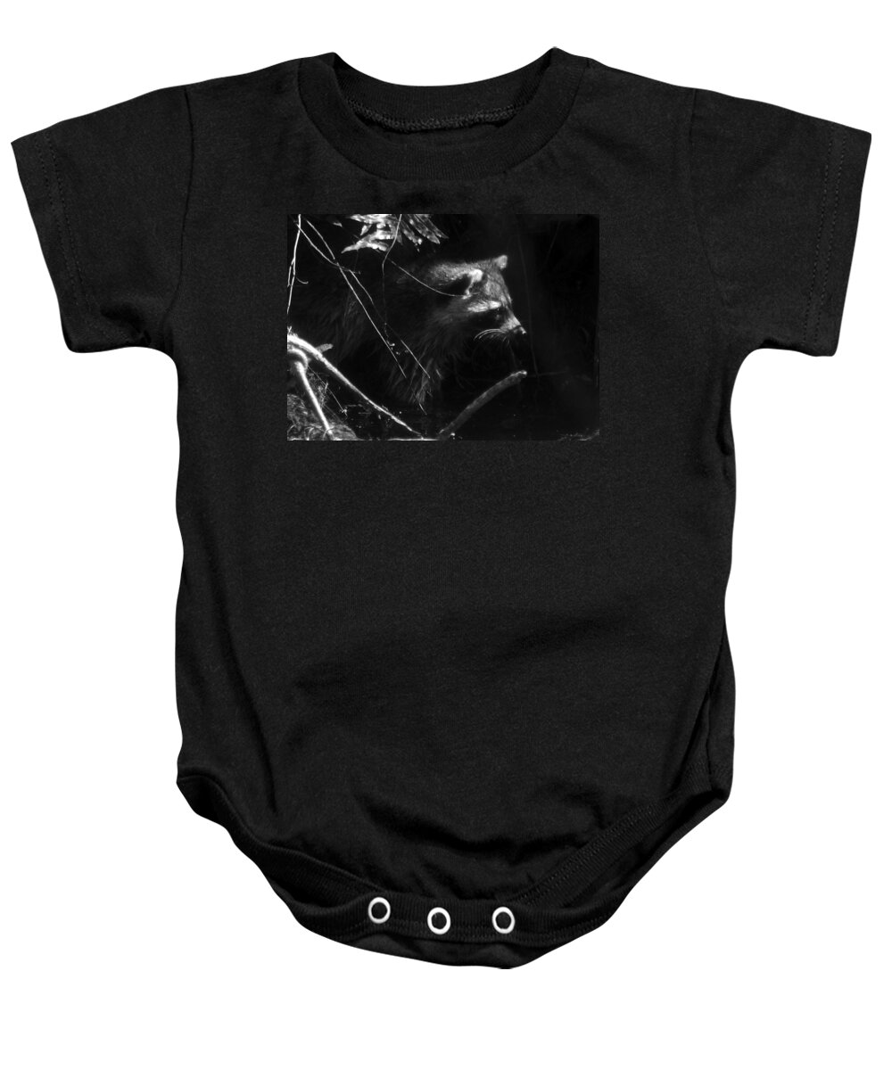 Raccoon Baby Onesie featuring the photograph Everglades Raccoon by David Lee Thompson
