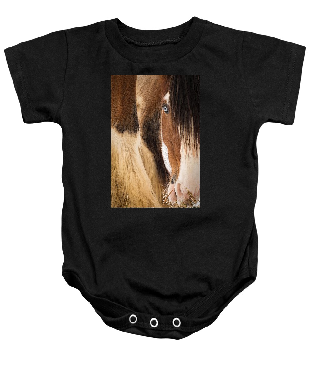 Horse Baby Onesie featuring the photograph Eyes of Blue by Everet Regal