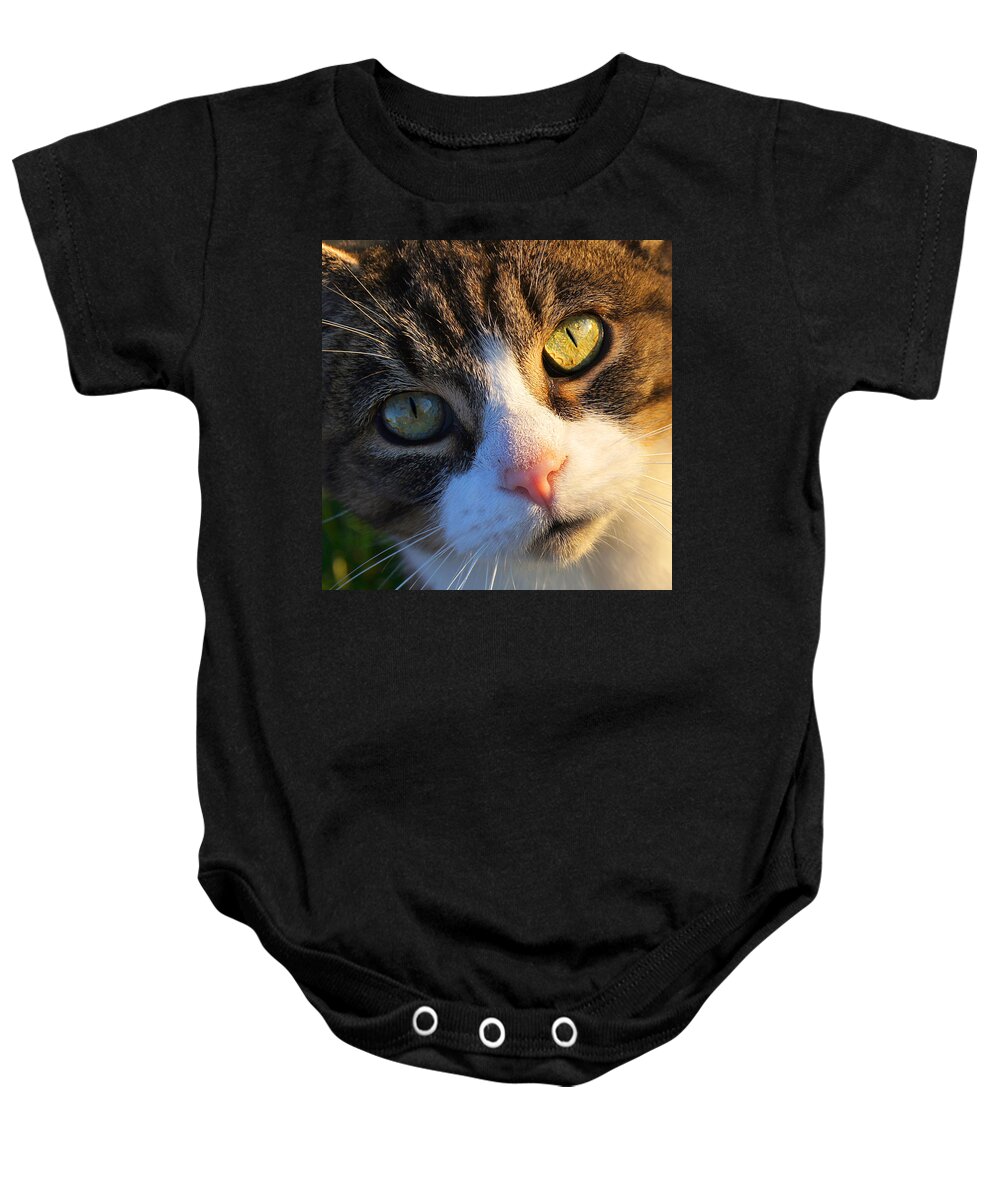 Cat Baby Onesie featuring the photograph Eyes On You by Bill Pevlor