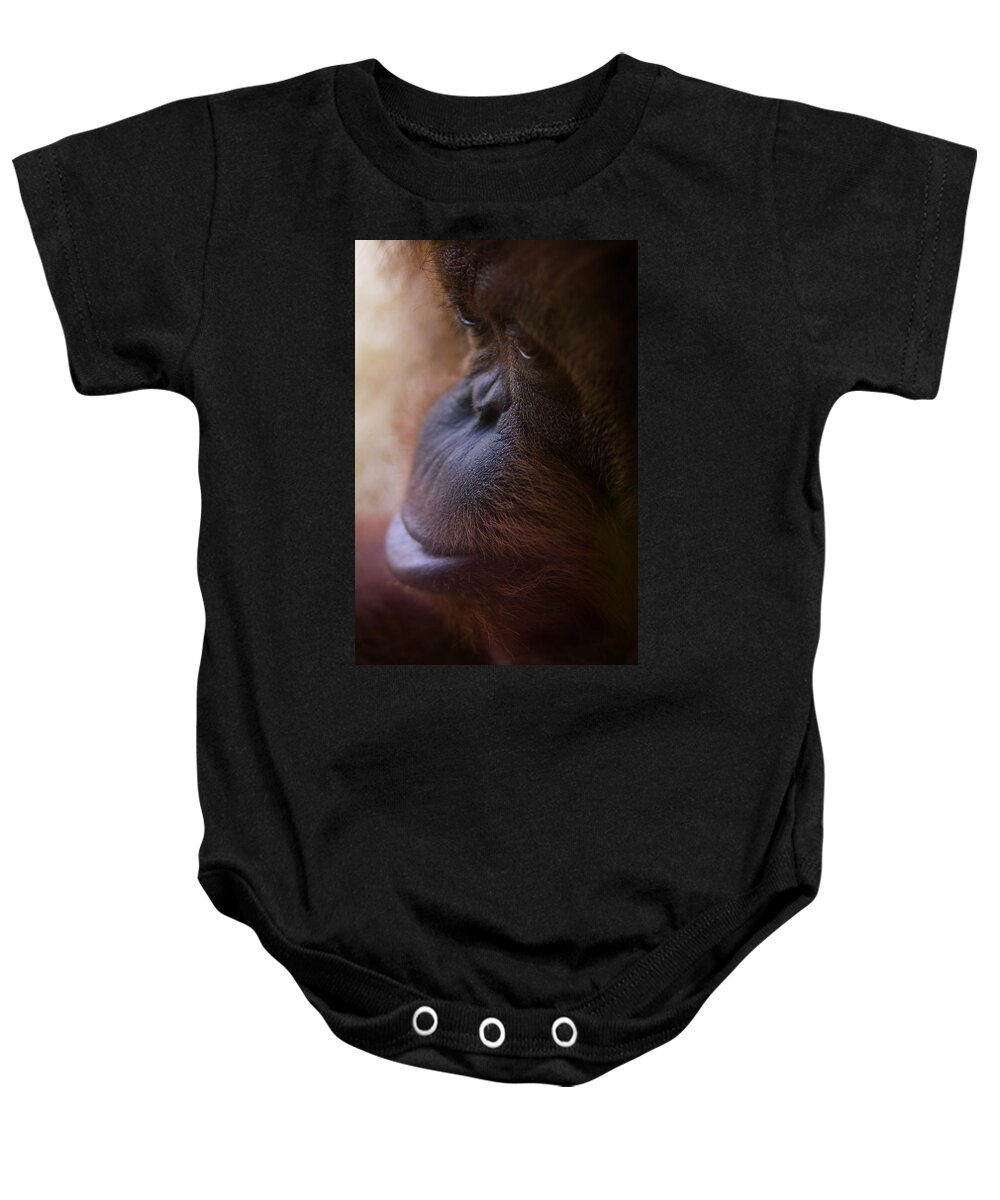Orangutan Baby Onesie featuring the photograph Eyes by Shane Holsclaw