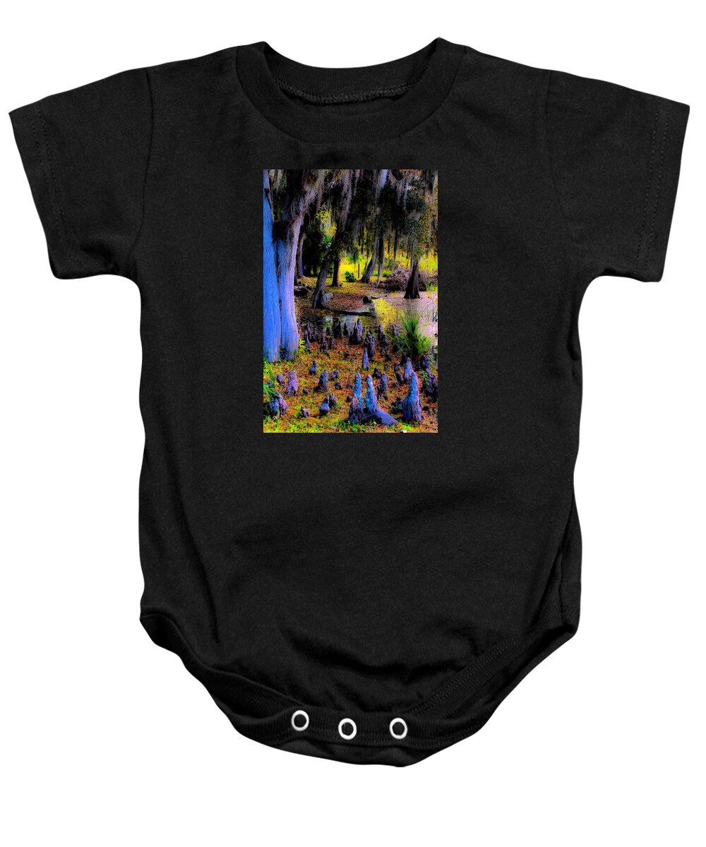 Abstract Baby Onesie featuring the photograph Fairyland of Gnomes by DigiArt Diaries by Vicky B Fuller