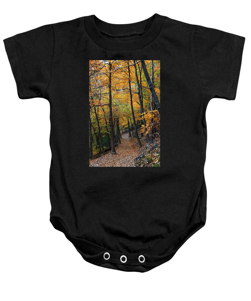 Autumn Baby Onesie featuring the photograph Fall Foliage Colors 03 by Metro DC Photography