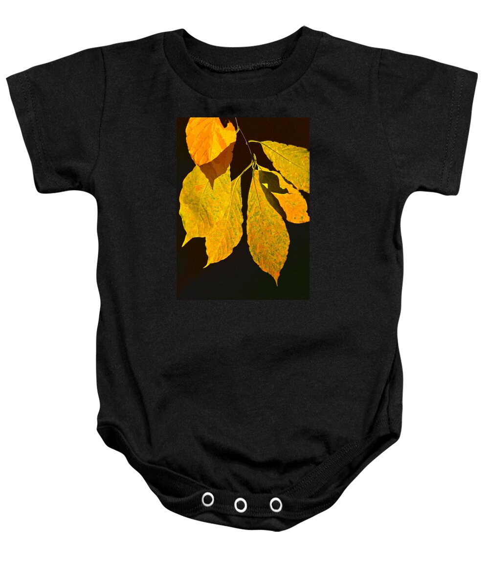 Fall Baby Onesie featuring the photograph Fall's Purest Gold by Sandi OReilly