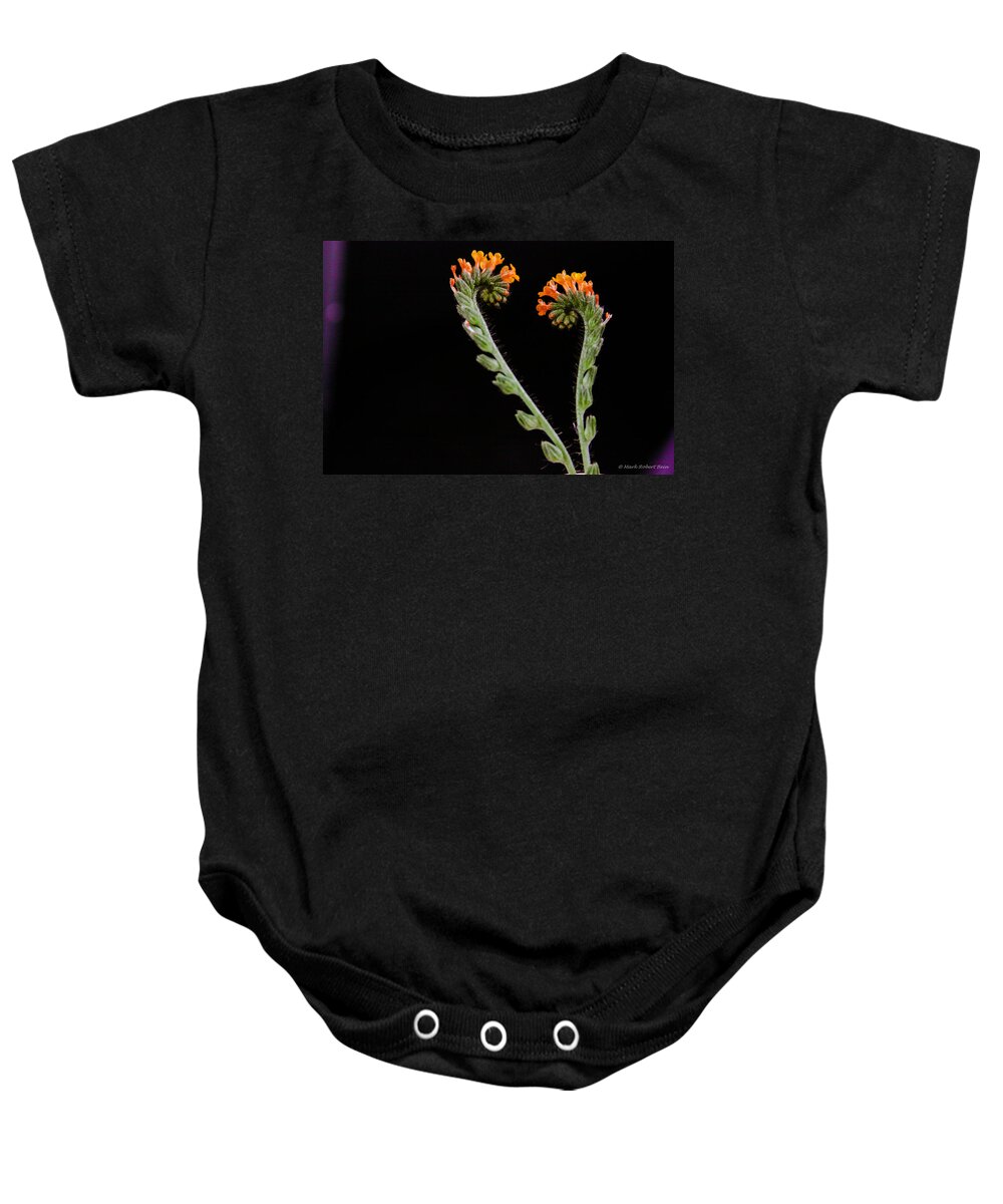 Abstract Baby Onesie featuring the photograph Fiddle Neck Thistle by Mark Robert Bein
