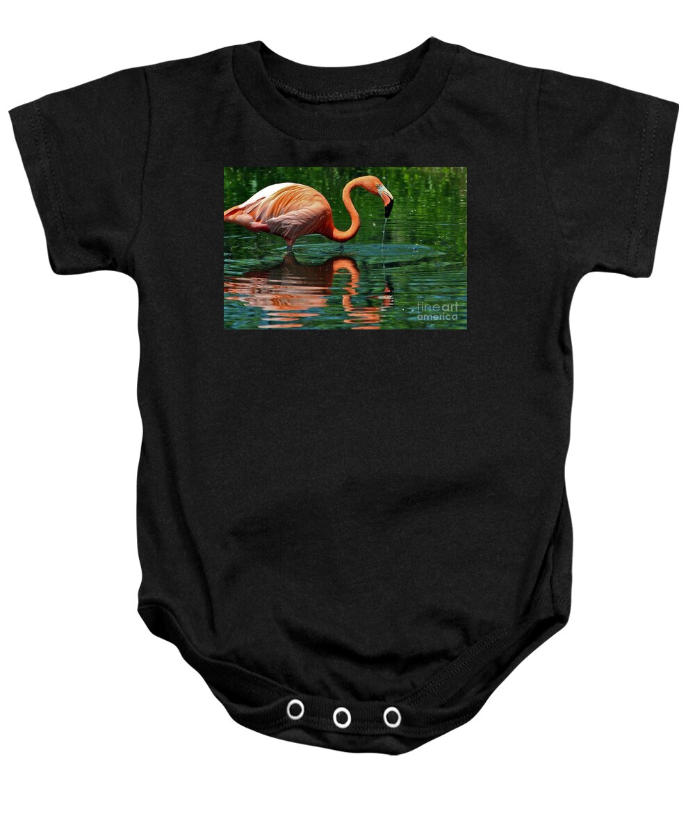 Reflection Baby Onesie featuring the photograph Flamingo by PatriZio M Busnel