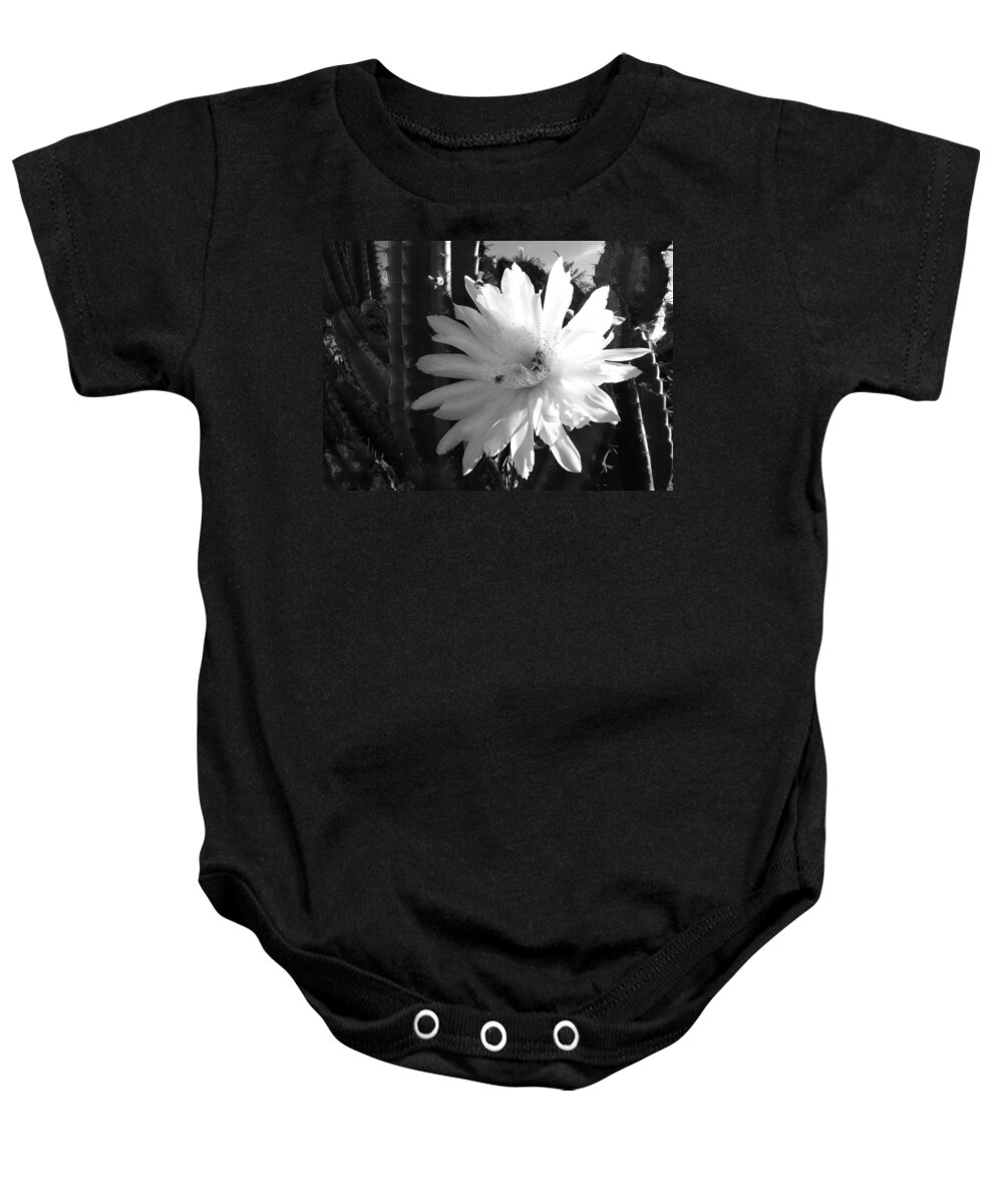 Cactus Baby Onesie featuring the photograph Flowering Cactus 1 BW by Mariusz Kula