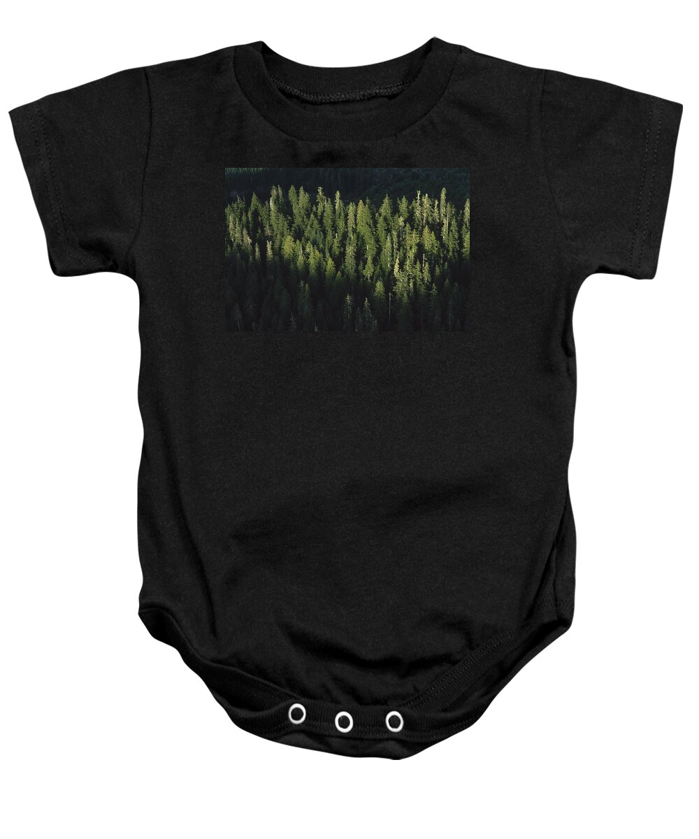 Feb0514 Baby Onesie featuring the photograph Forest Aerial Olympic National Park by Mark Moffett