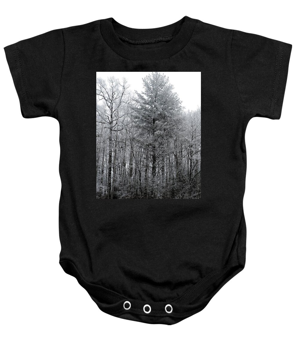 Landscape Baby Onesie featuring the photograph Forest With Freezing Fog by Daniel Reed