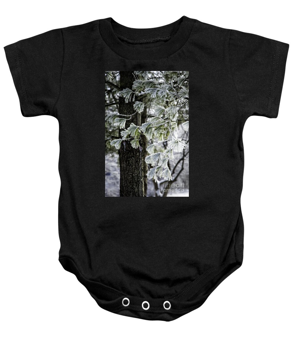 Snow Baby Onesie featuring the photograph Frosted Conifer by Timothy Hacker