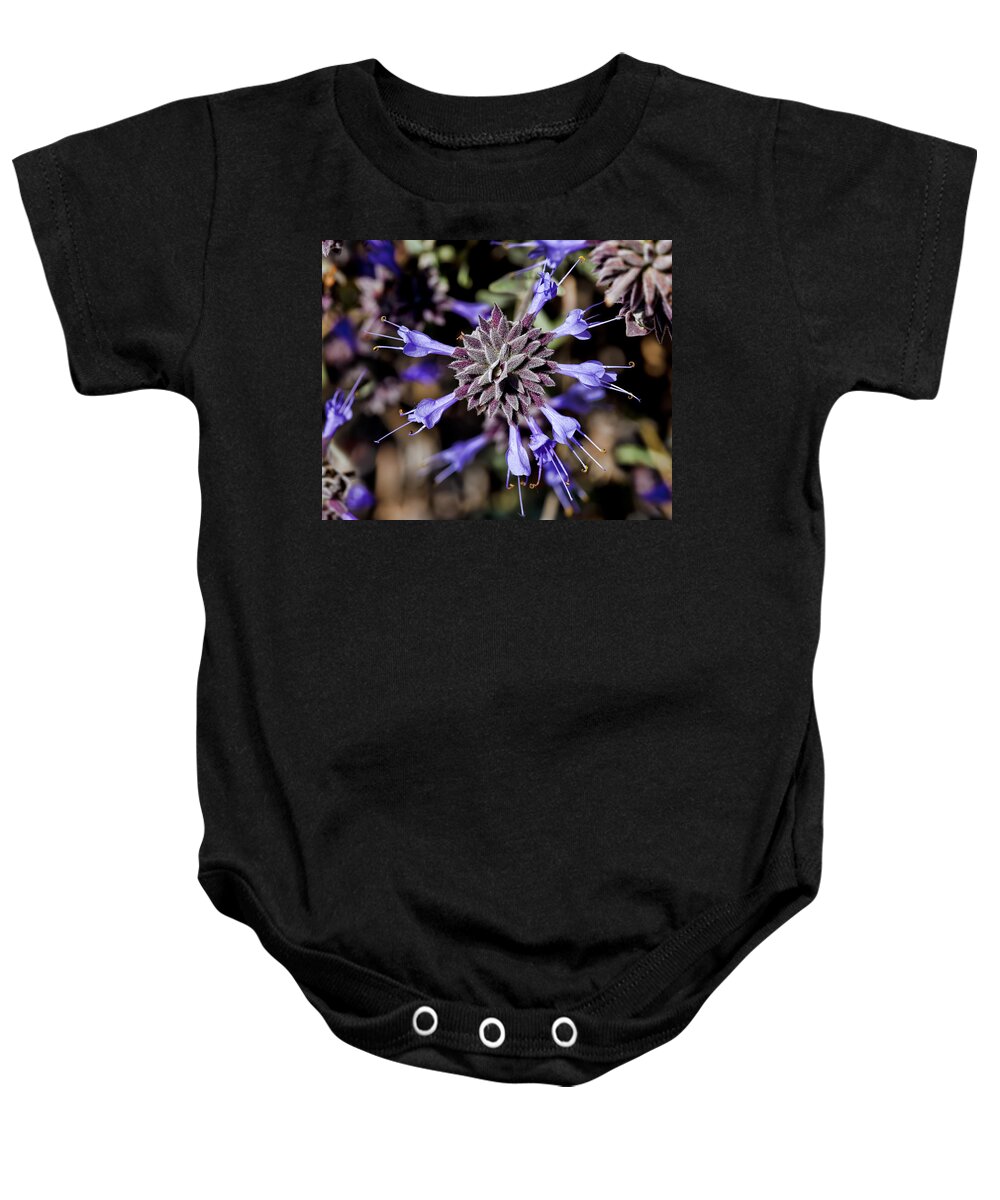 Fuzzy Baby Onesie featuring the photograph Fuzzy Purple 3 by Kelley King