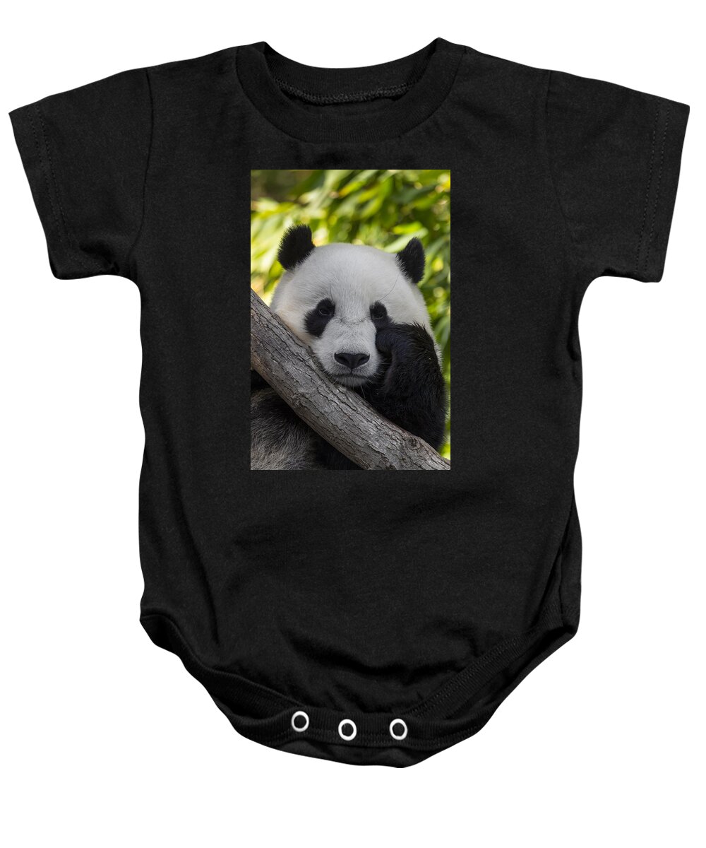Feb0514 Baby Onesie featuring the photograph Giant Panda by San Diego Zoo