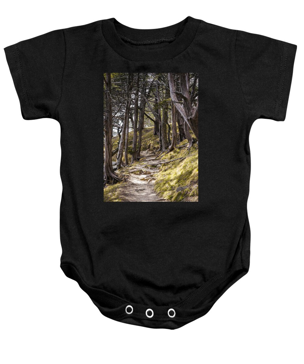 Tree Baby Onesie featuring the photograph Gibraltar Rock trail wisconsin by Steven Ralser