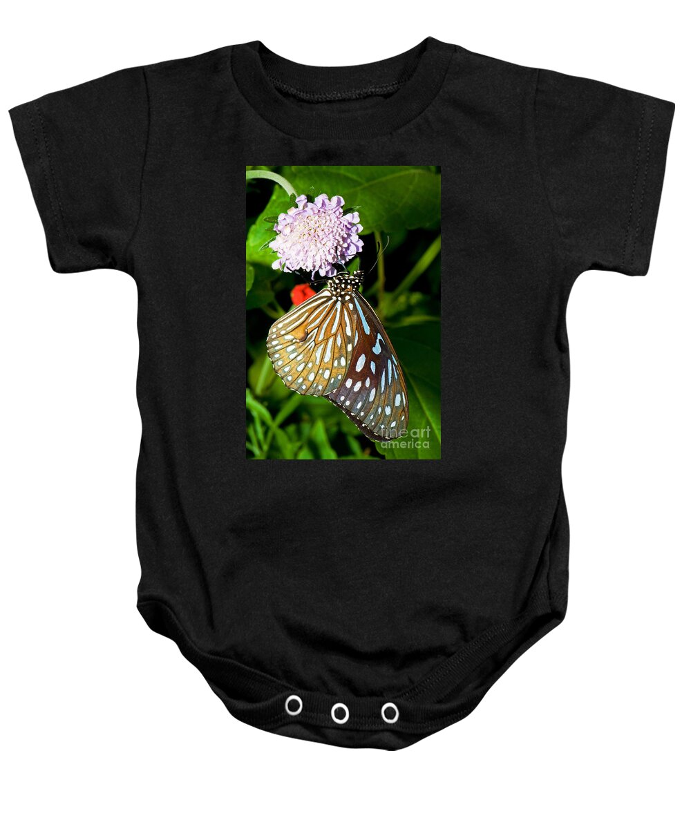 Nature Baby Onesie featuring the photograph Glassy Blue Tiger Butterfly by Millard H. Sharp