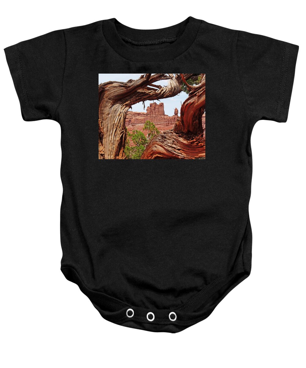 Gnarly Baby Onesie featuring the photograph Gnarly Tree by Alan Socolik