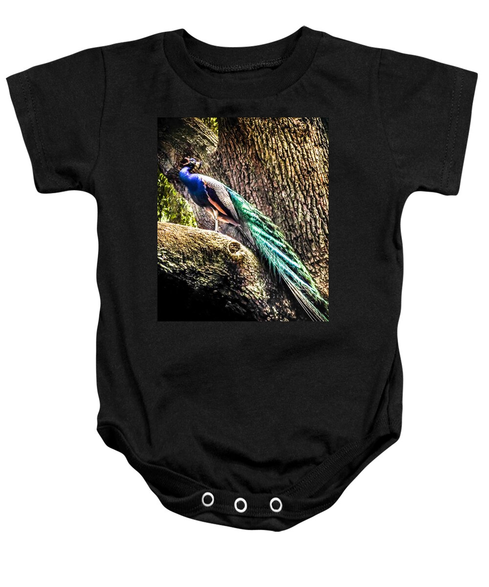 Peacocks Baby Onesie featuring the photograph Gods Heavenly Creatures by Karen Wiles