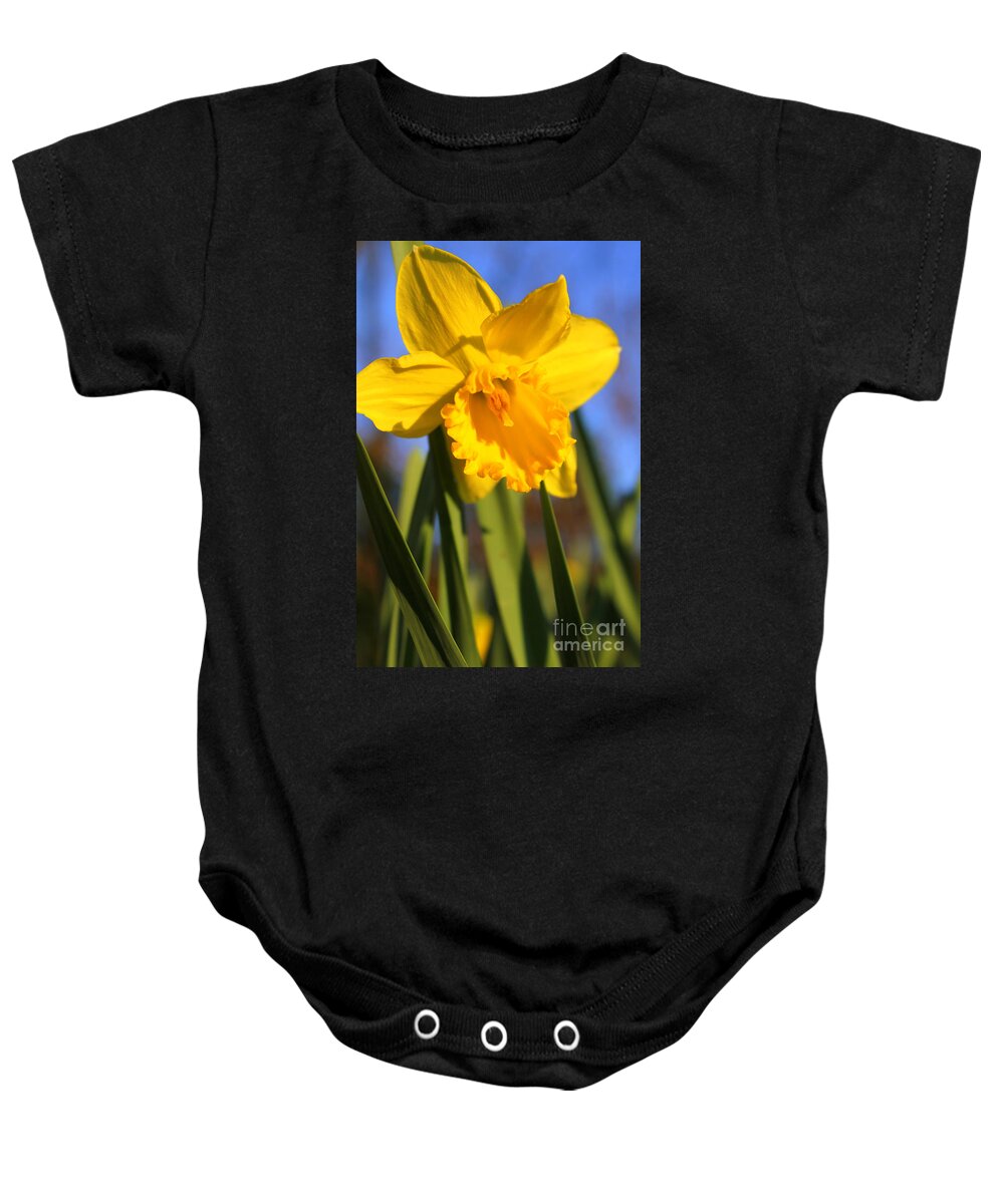 Daffodils Poem Baby Onesie featuring the photograph Golden Glory Daffodil by Kathy White
