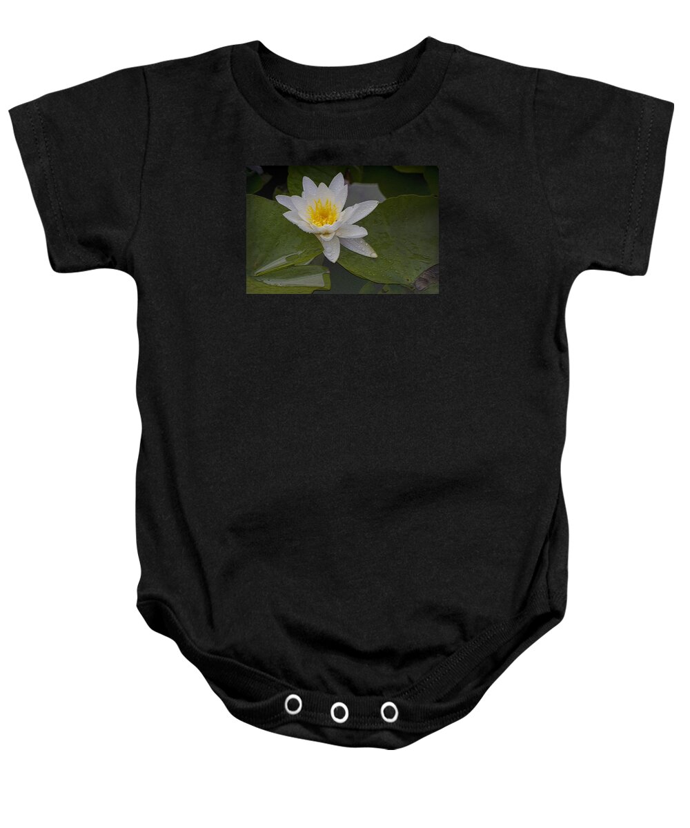 Clare Bambers Baby Onesie featuring the photograph Golden Stamens by Clare Bambers
