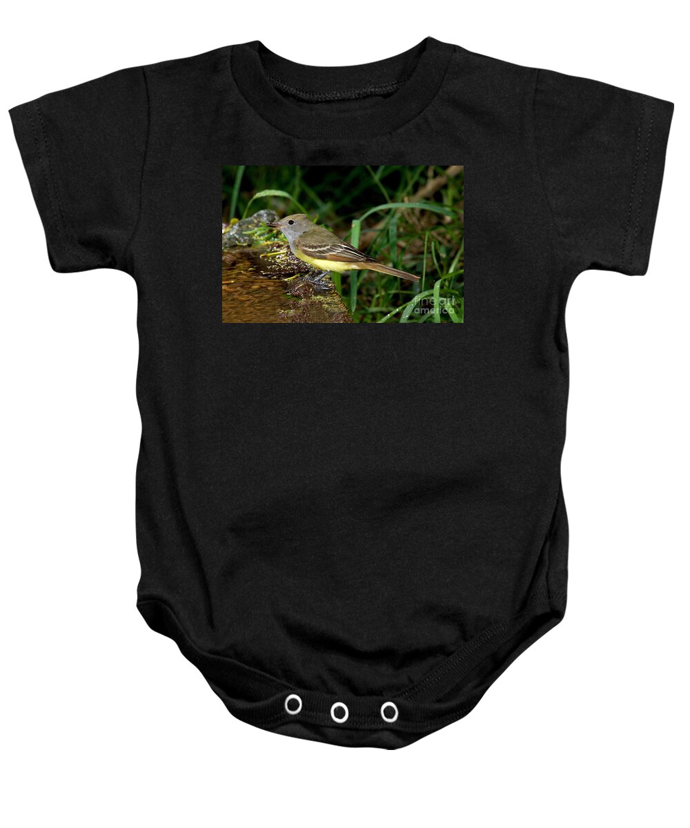Flycatcher Baby Onesie featuring the photograph Great-crested Flycatcher by Anthony Mercieca
