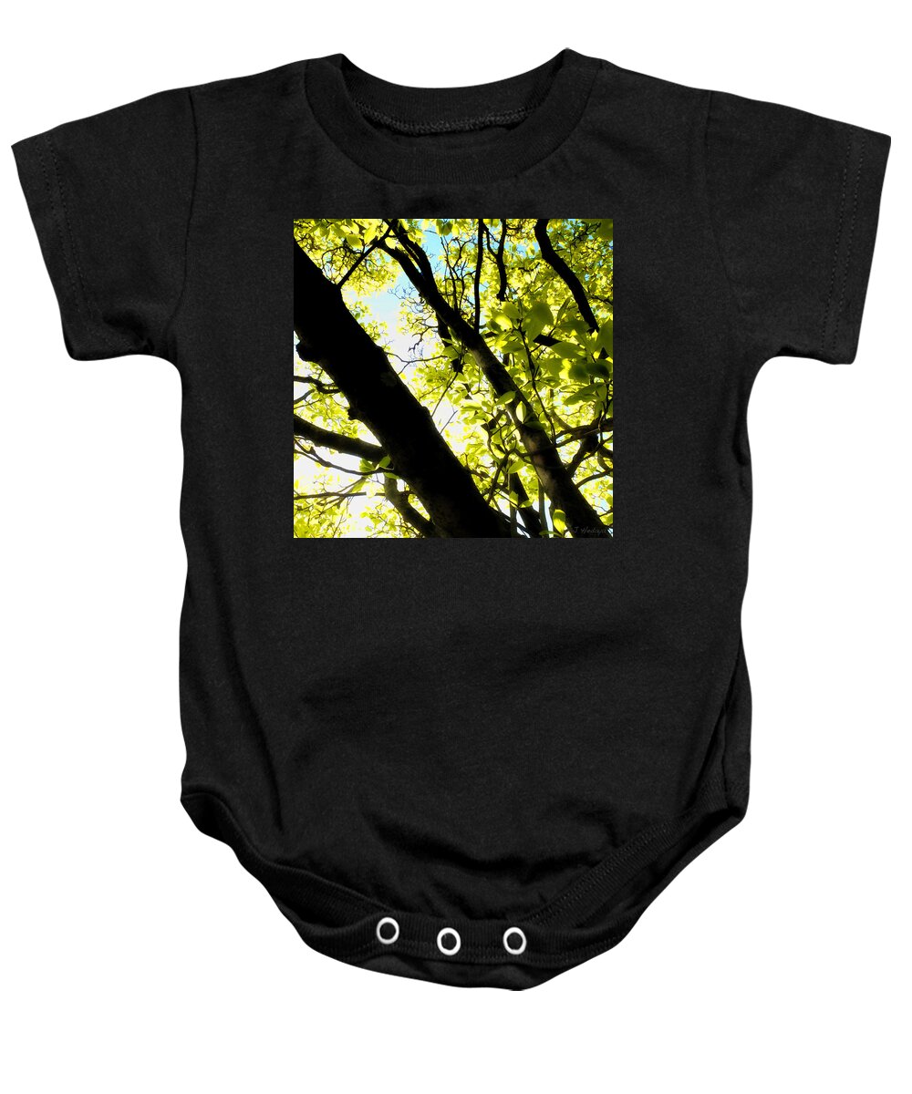 Nature Baby Onesie featuring the photograph Green Leaf Glow by Joseph Hedaya