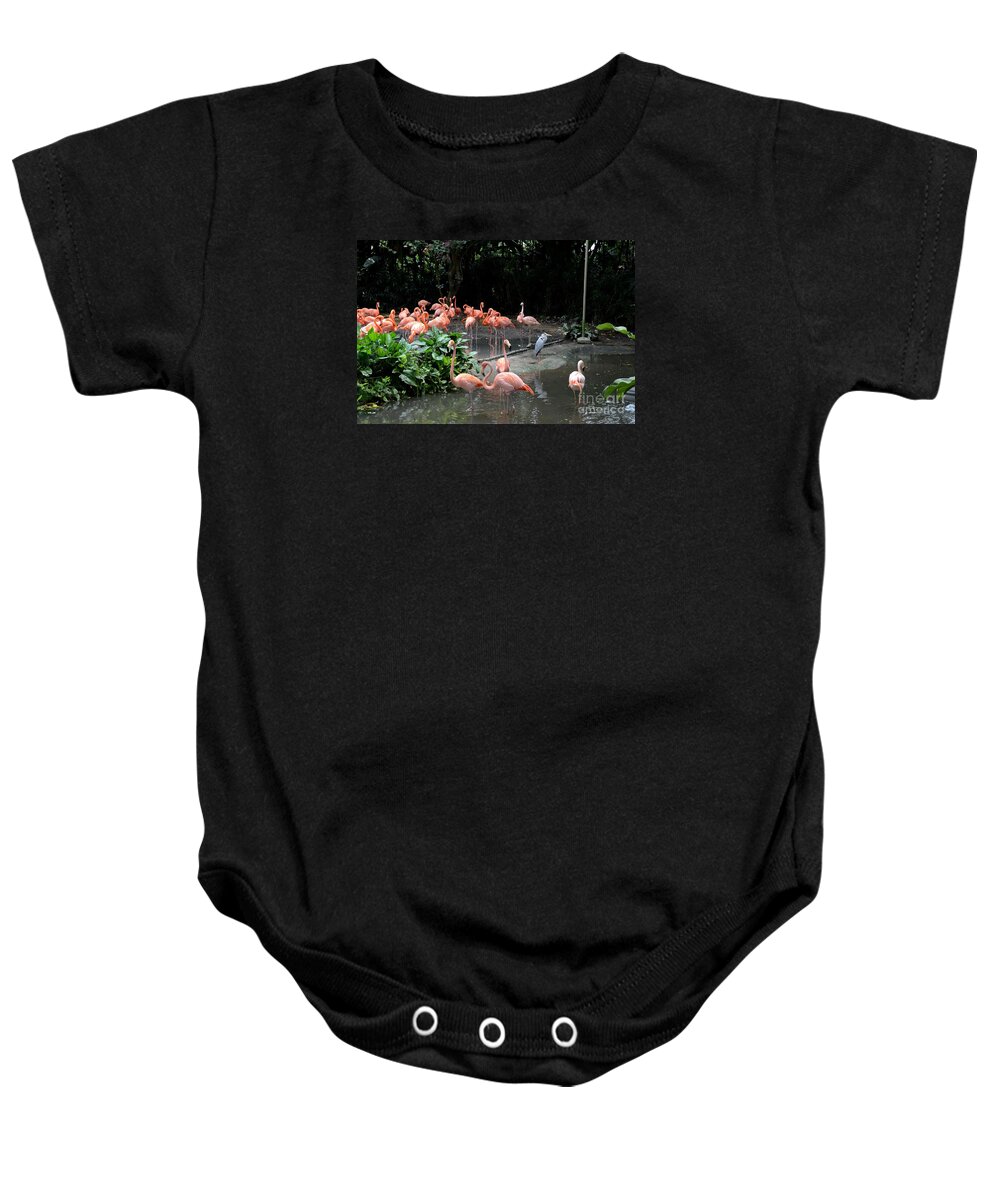 Flamingos Baby Onesie featuring the photograph Group of flamingos and lone heron in water by Imran Ahmed