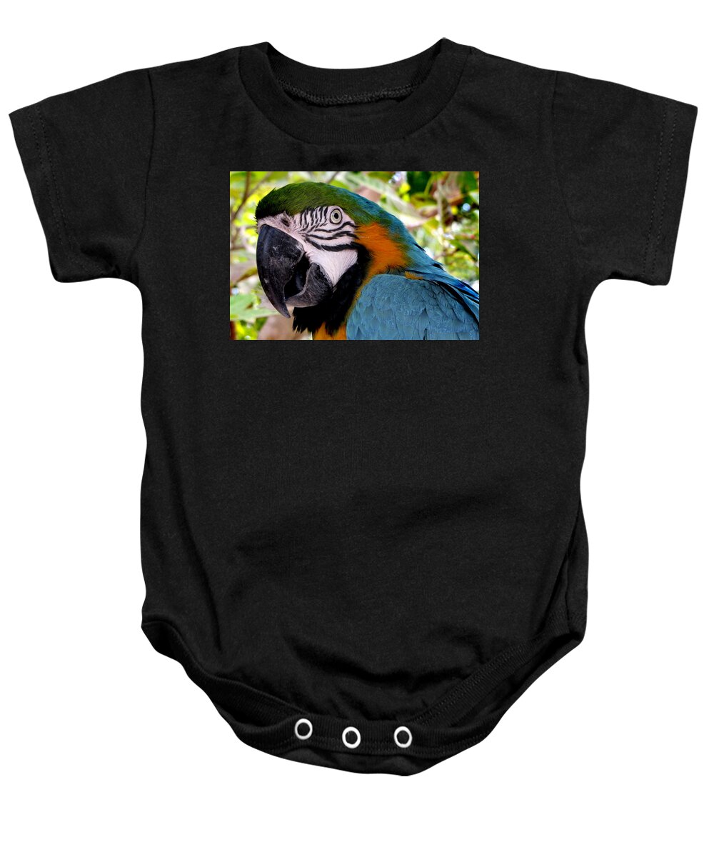 Parrot Baby Onesie featuring the photograph Harvey by Bob Slitzan