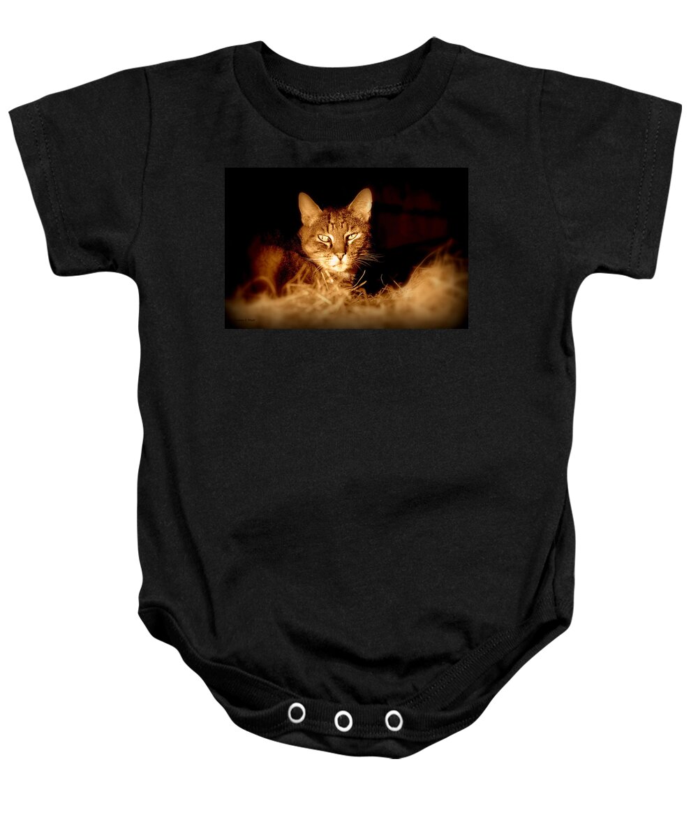 Animal Baby Onesie featuring the photograph Hay there by Andrea Platt