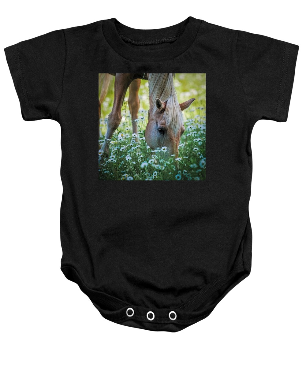 Horse Baby Onesie featuring the photograph Horse and Daisies by Paul Freidlund
