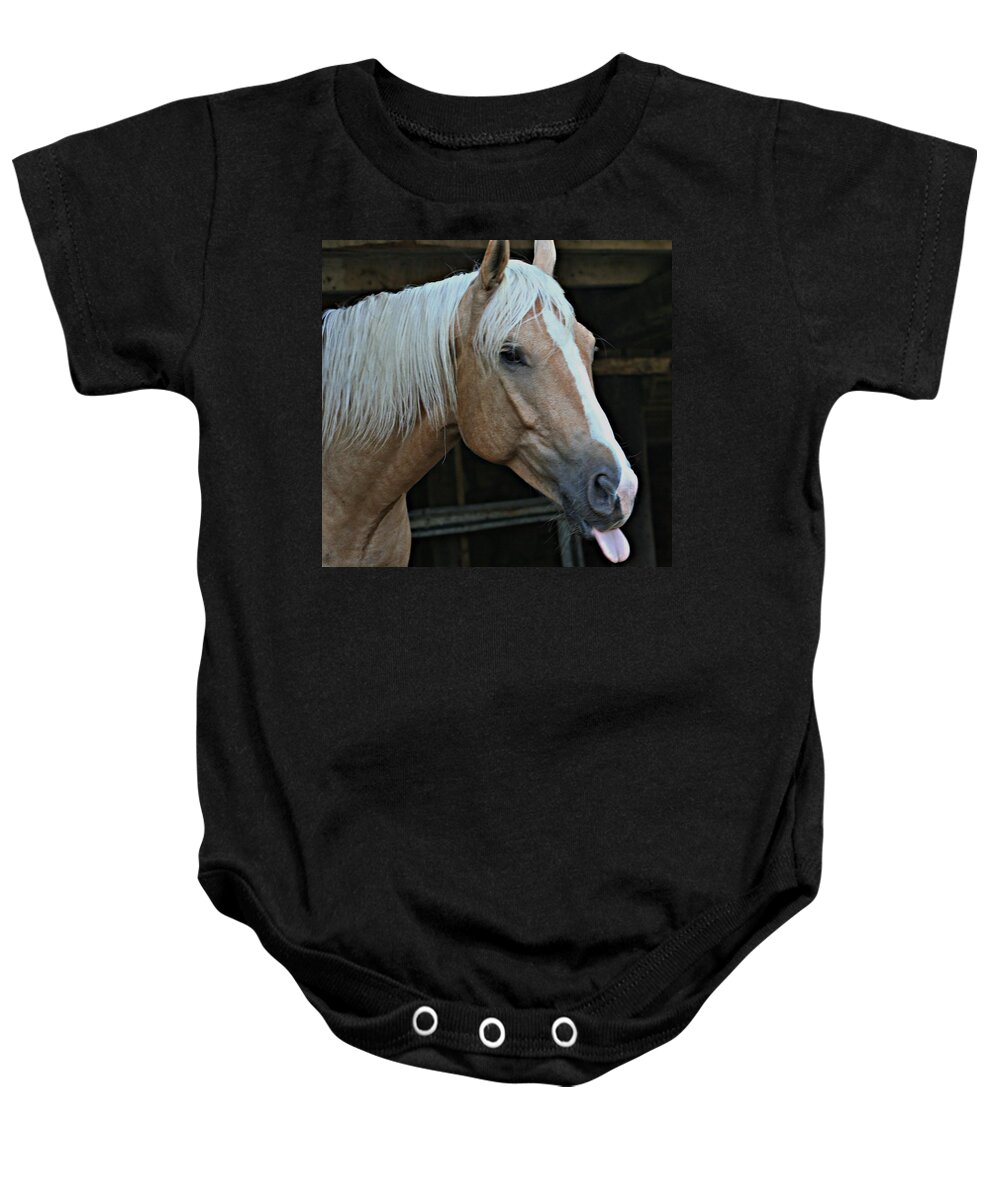 Horse Baby Onesie featuring the photograph Horse Feathers by Barbara S Nickerson
