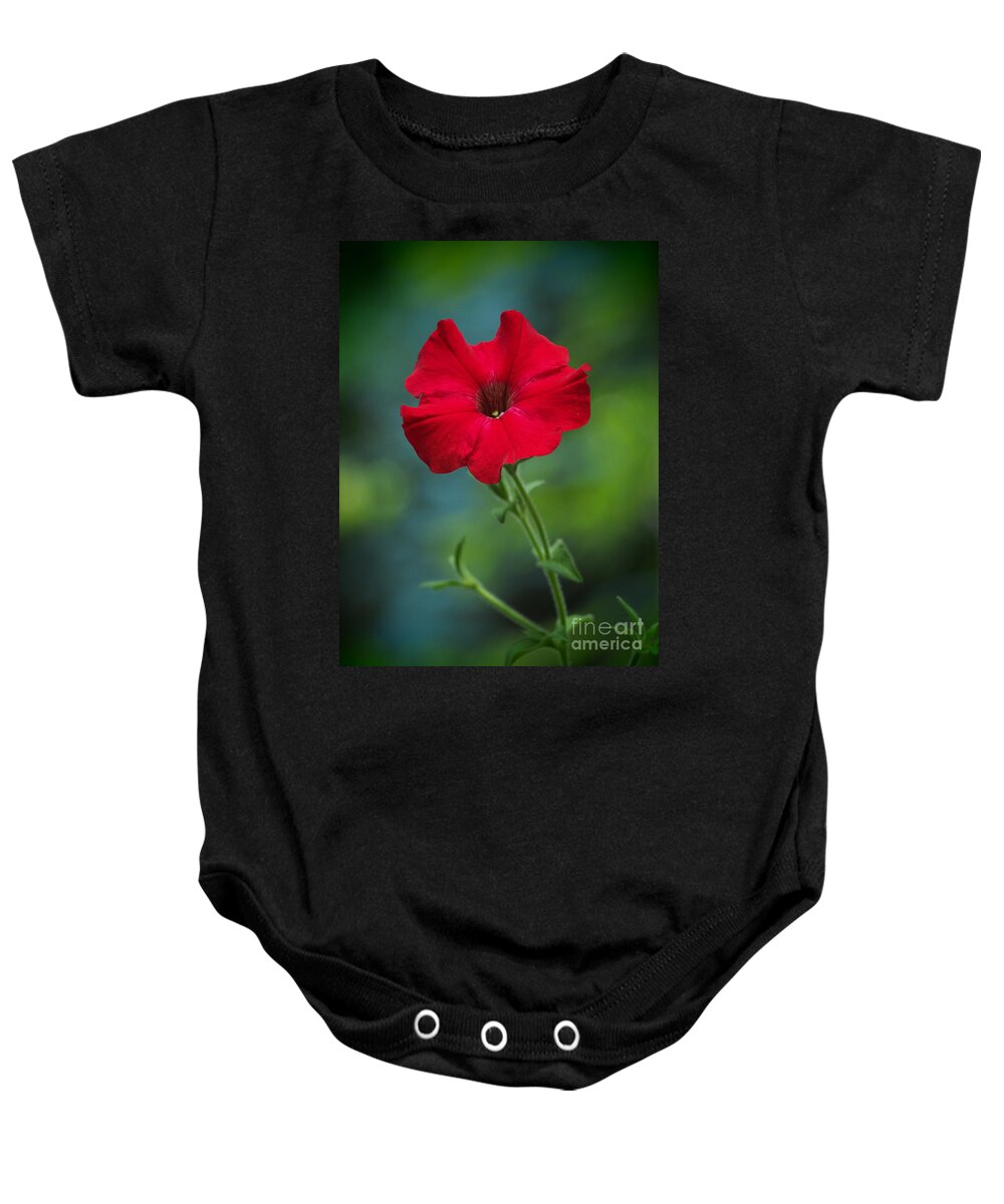 Flowers Baby Onesie featuring the photograph Hot Petunia In The Cool Shadows by Dorothy Lee