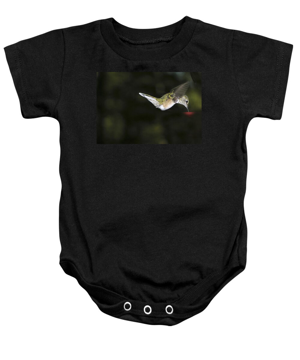 Hummingbird Baby Onesie featuring the photograph Hovering Beauty by Ron White