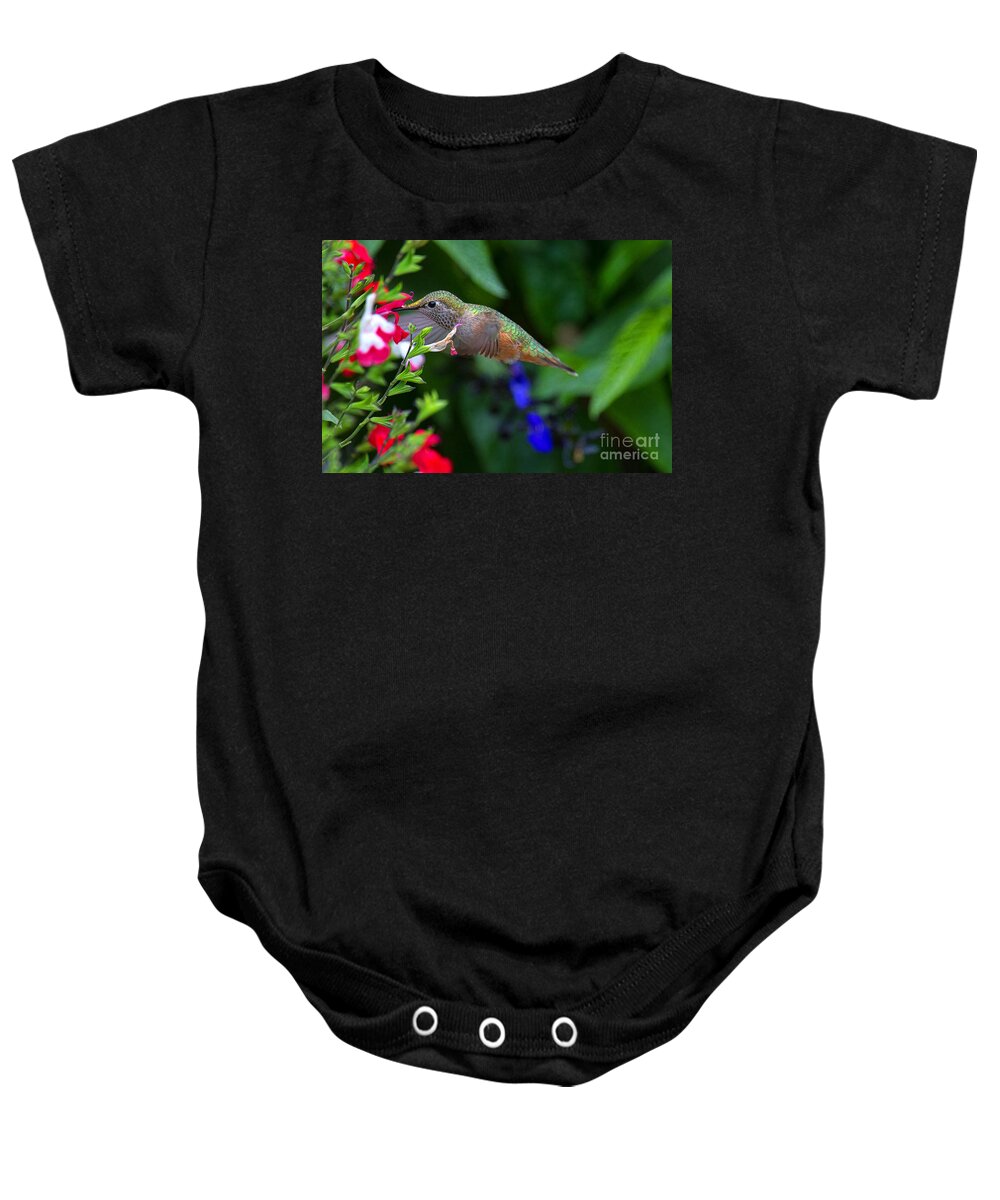 Humming Bird Baby Onesie featuring the photograph Humming Along by Jim Garrison
