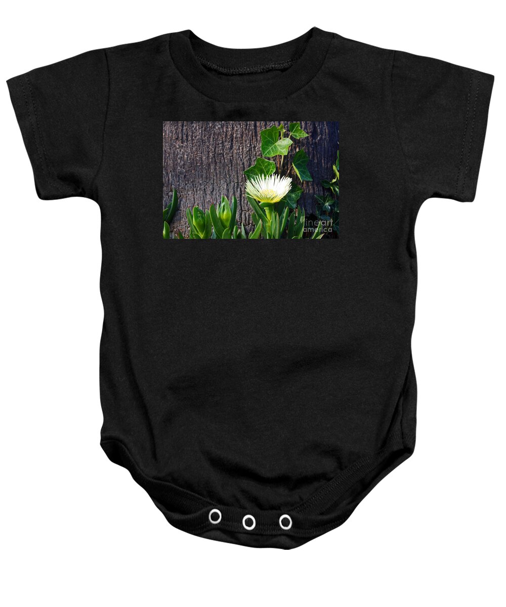 White Flowers Baby Onesie featuring the photograph Ice Flower with Vine by Kelly Holm