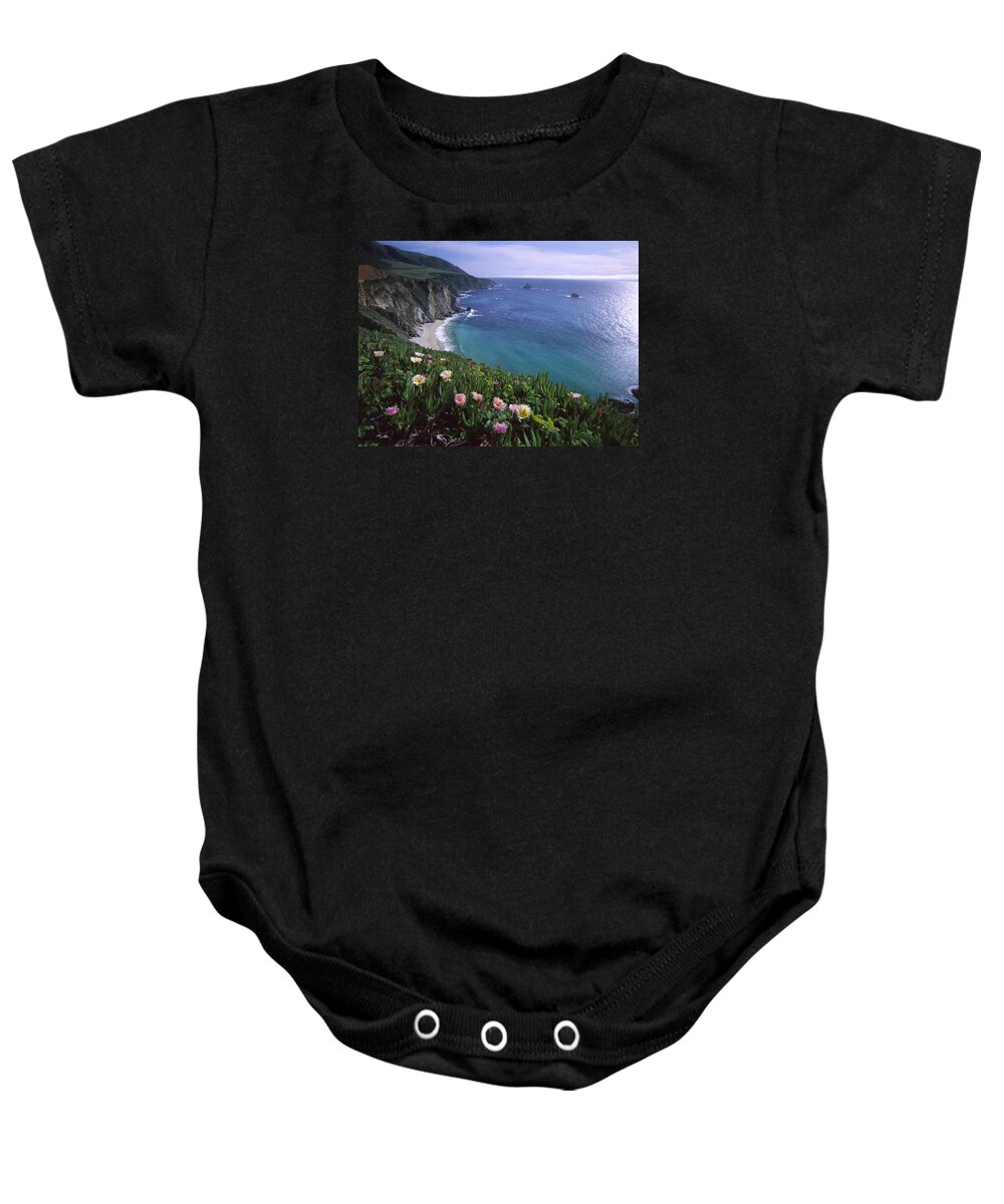 00174725 Baby Onesie featuring the photograph Ice Plants on Big Sur Coast by Tim Fitzharris