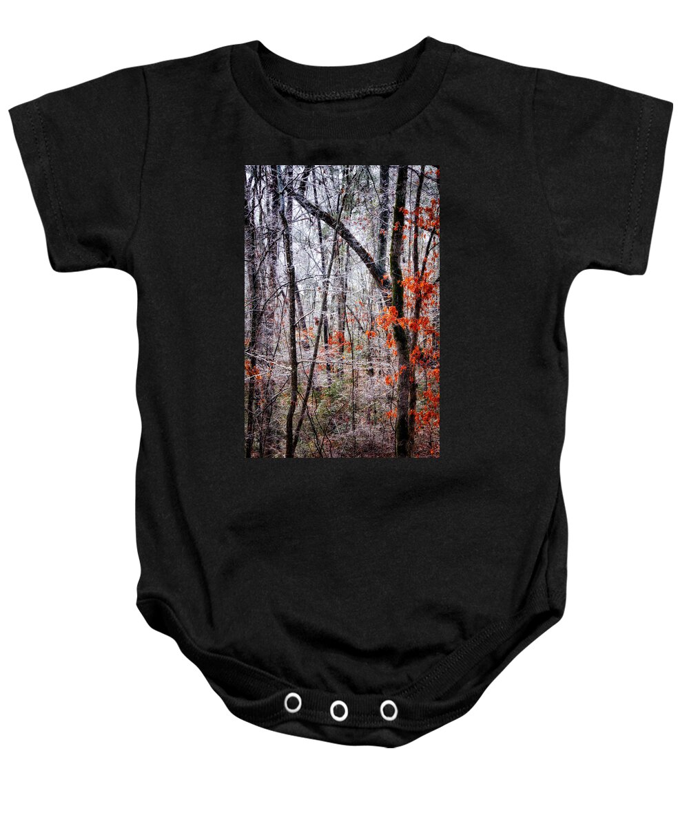 Freezing Rain Baby Onesie featuring the photograph Ice Trees by Daniel George