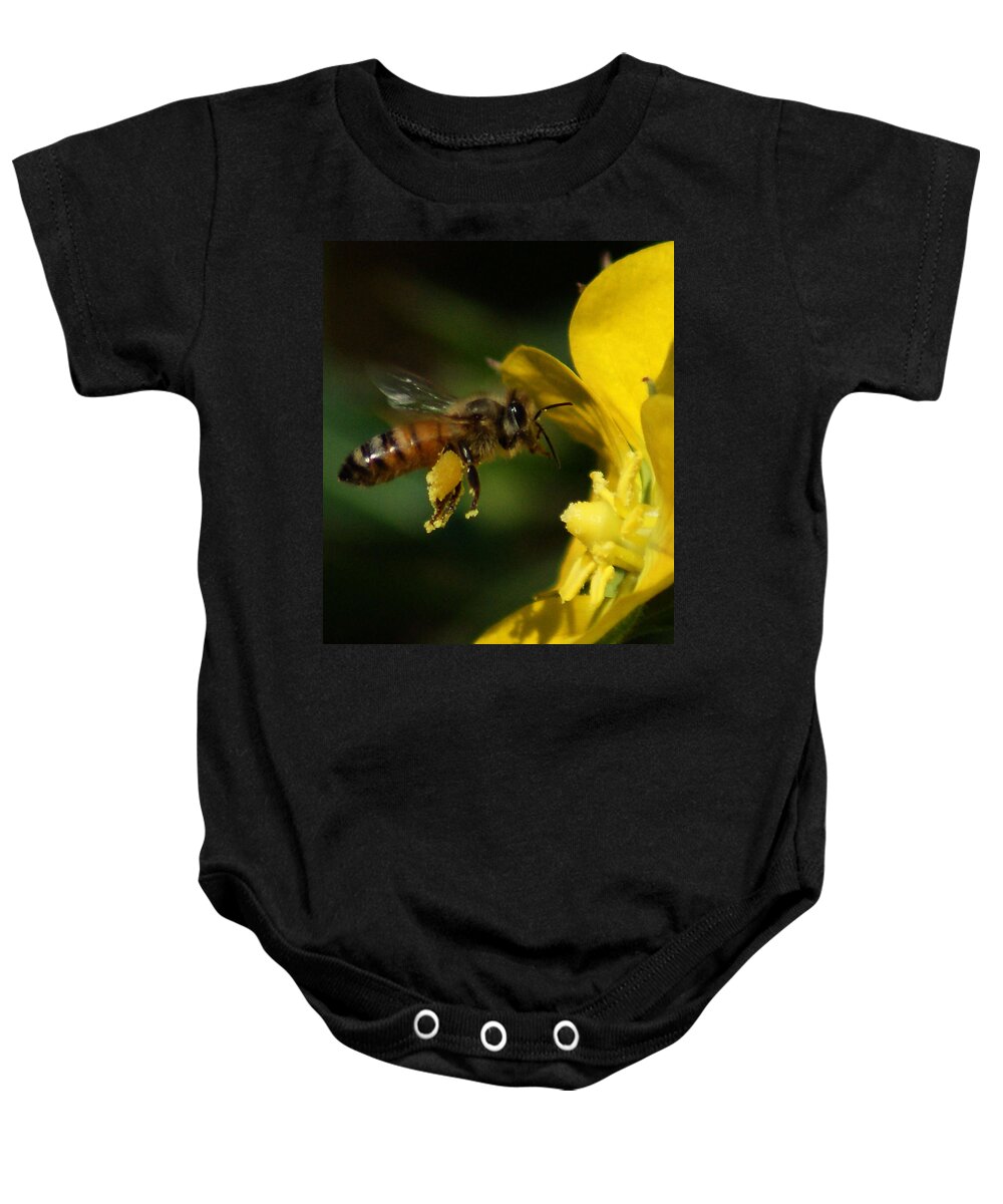 Bees Baby Onesie featuring the photograph In Flight by Chauncy Holmes