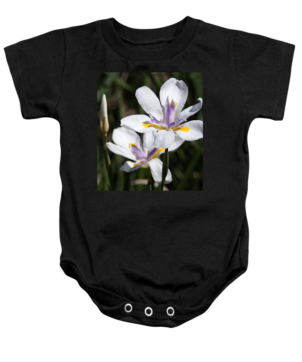Iris Baby Onesie featuring the photograph Iris Flower by Chauncy Holmes