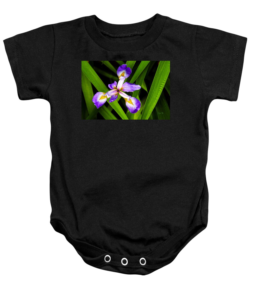 Penny Lisowski Baby Onesie featuring the photograph Iris Pinwheel by Penny Lisowski