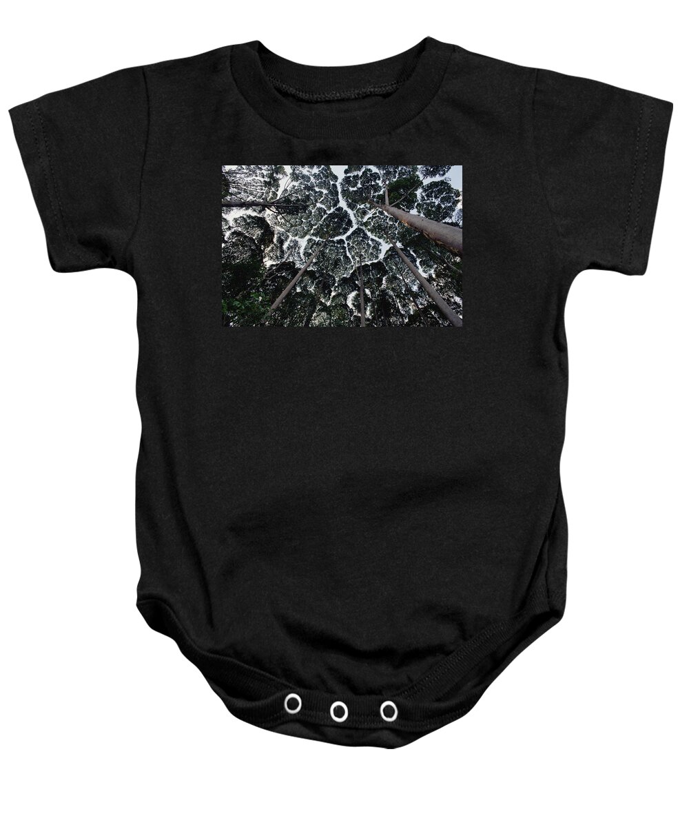 Feb0514 Baby Onesie featuring the photograph Kapur Trees Showing Crown Shyness by Mark Moffett