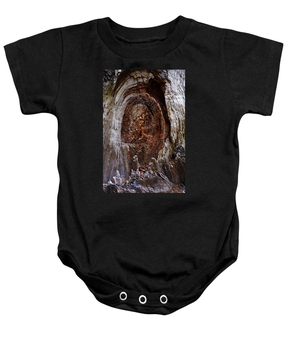 Knot Baby Onesie featuring the photograph Knot What You Think by Bill Swartwout