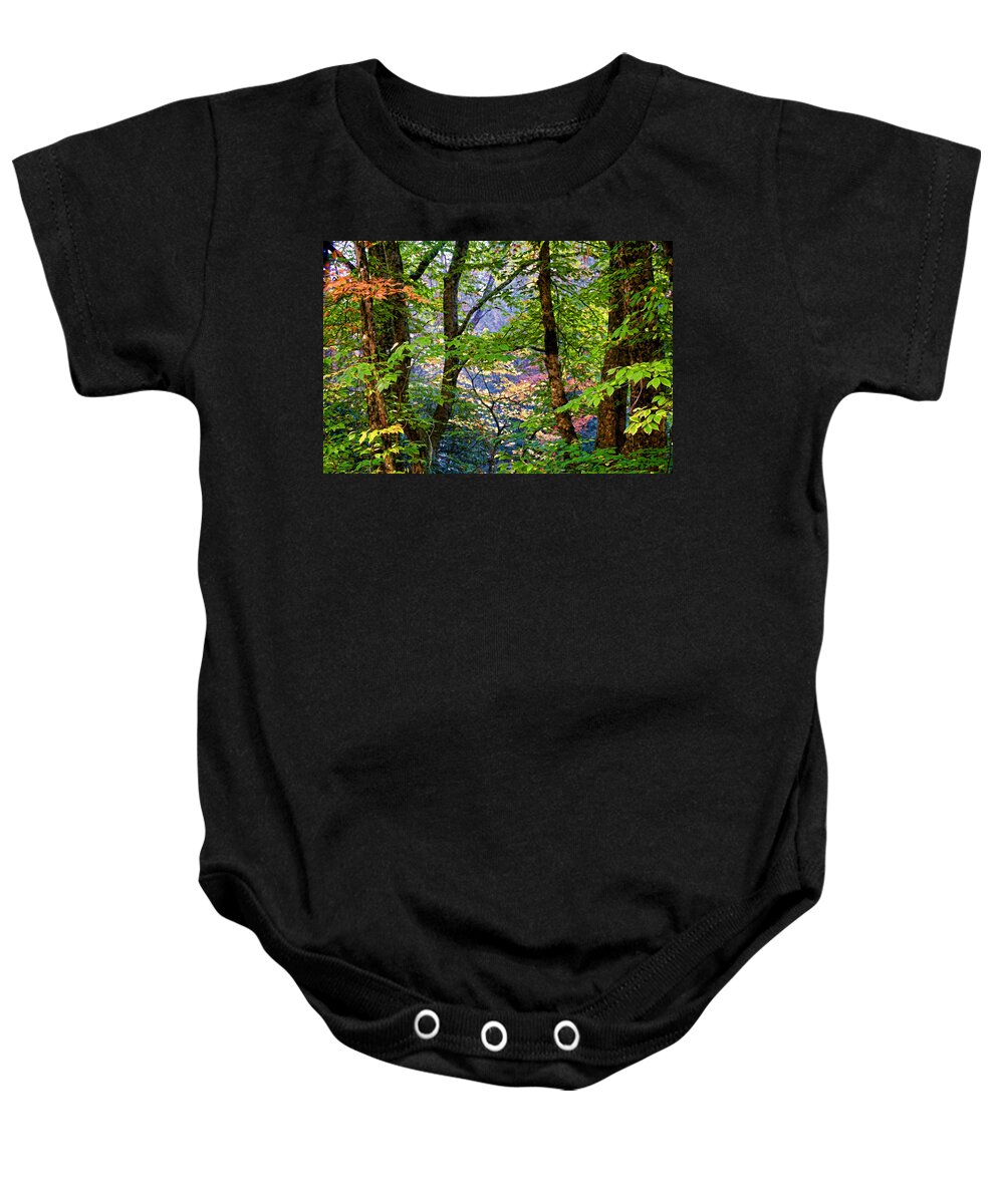 Nantahala National Forest Baby Onesie featuring the photograph Land of The Noonday Sun by HH Photography of Florida