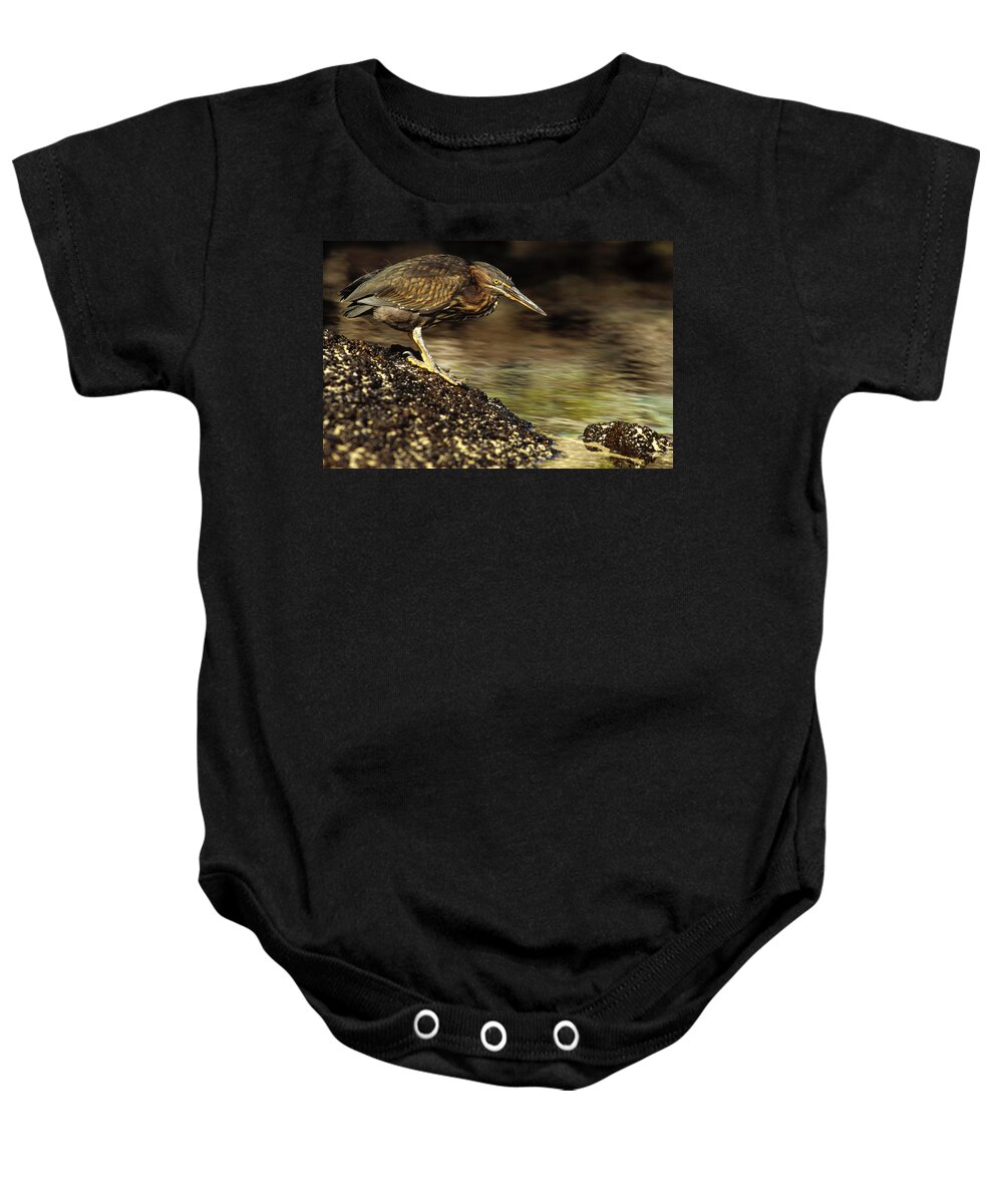 Feb0514 Baby Onesie featuring the photograph Lava Heron Fishing Galapagos by Gerry Ellis
