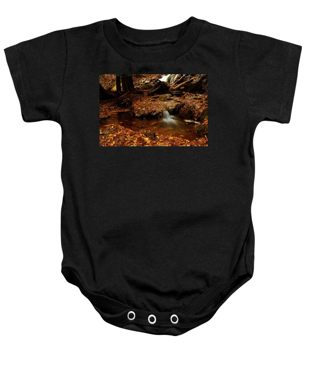 Colorado Baby Onesie featuring the photograph Leaf Splatter by Jeremy Rhoades
