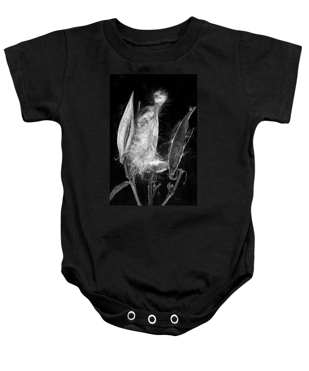 Seed Pod Baby Onesie featuring the photograph Lighted Seed Pod by Phyllis Denton