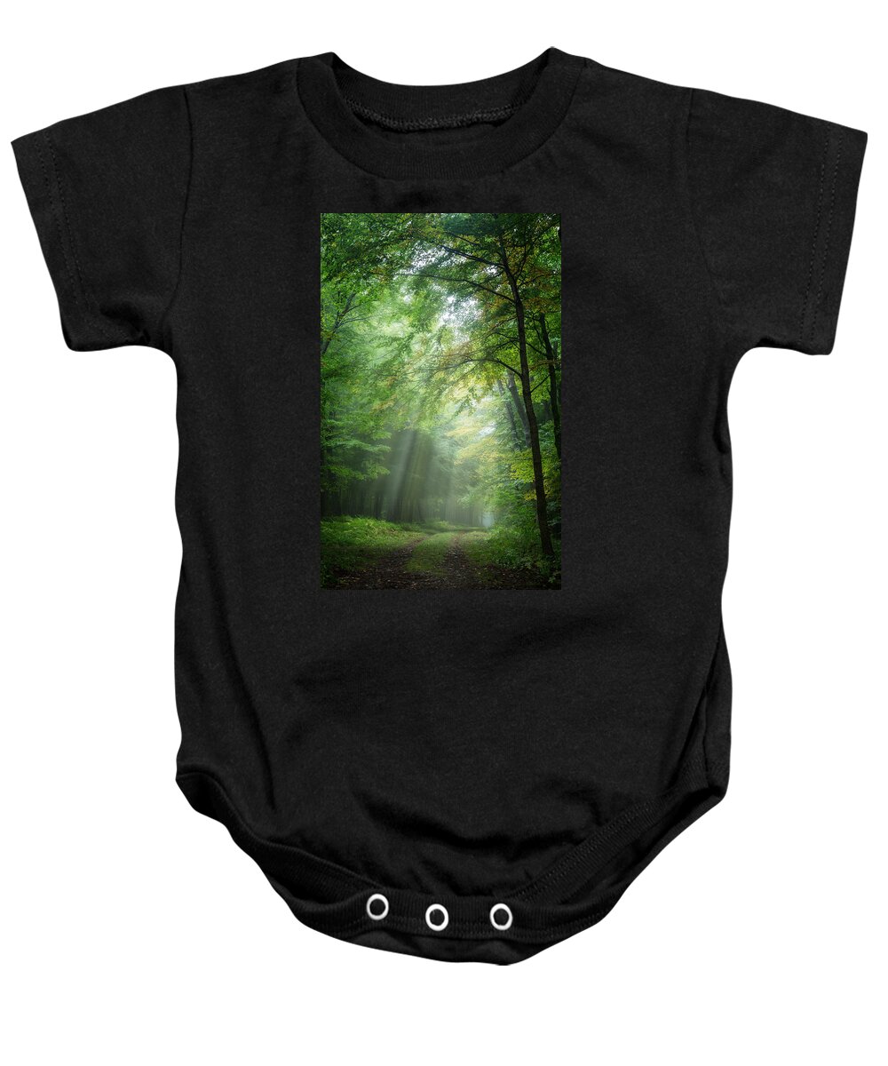 Forest Landscape Baby Onesie featuring the photograph Lighting The Way by Bill Wakeley