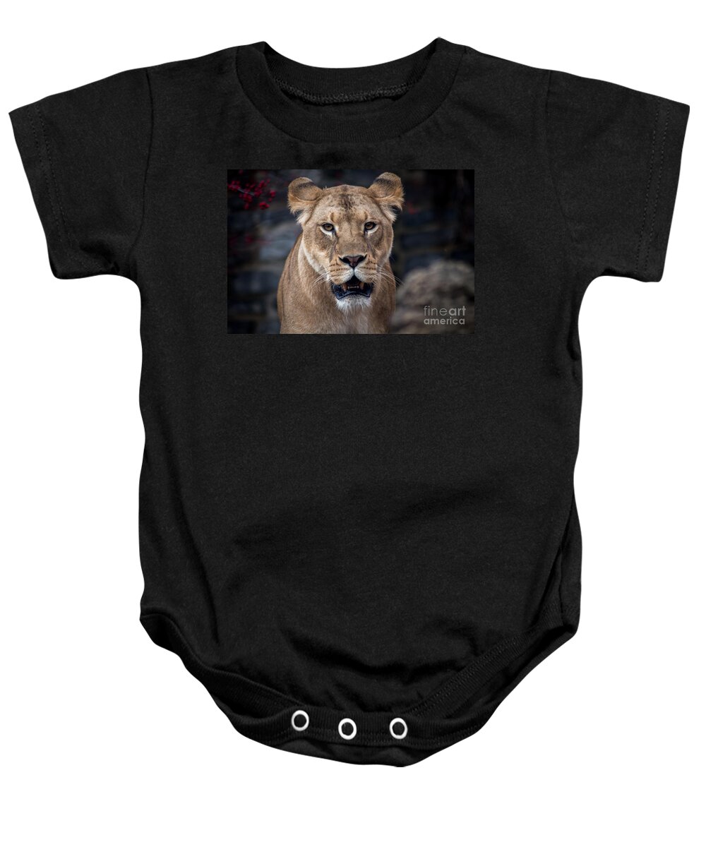 Lion Baby Onesie featuring the photograph Lioness by David Rucker