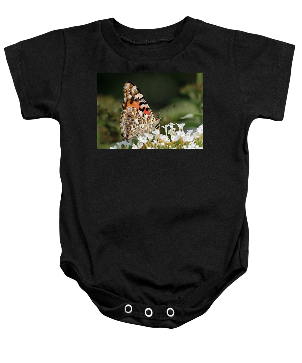 Moth Baby Onesie featuring the photograph Little Creature by Juergen Roth