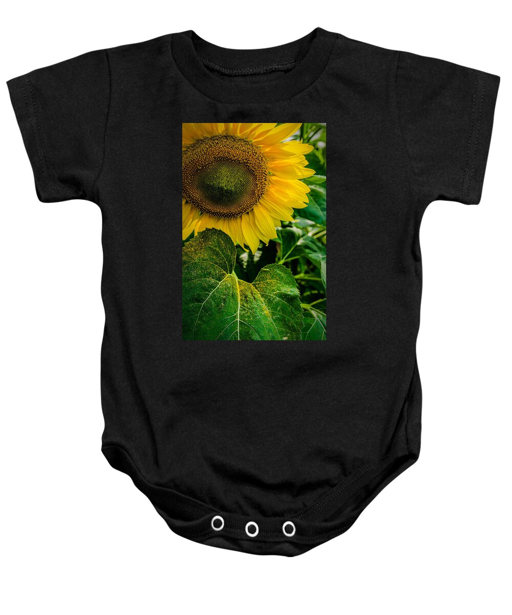 Sunflower Baby Onesie featuring the photograph Living Sunshine by Rick Bartrand