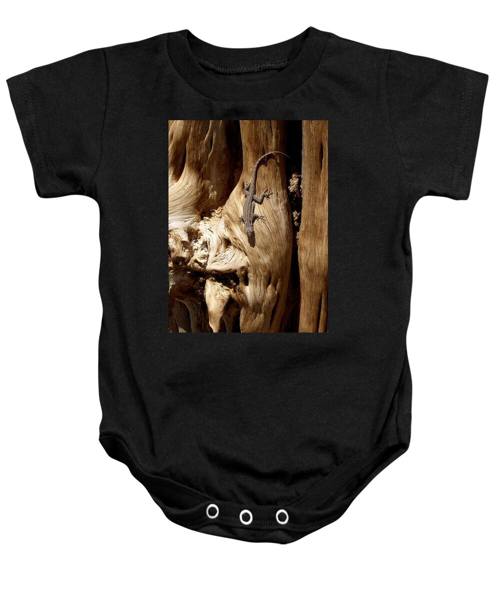 United States Baby Onesie featuring the photograph Lizard by Richard Gehlbach