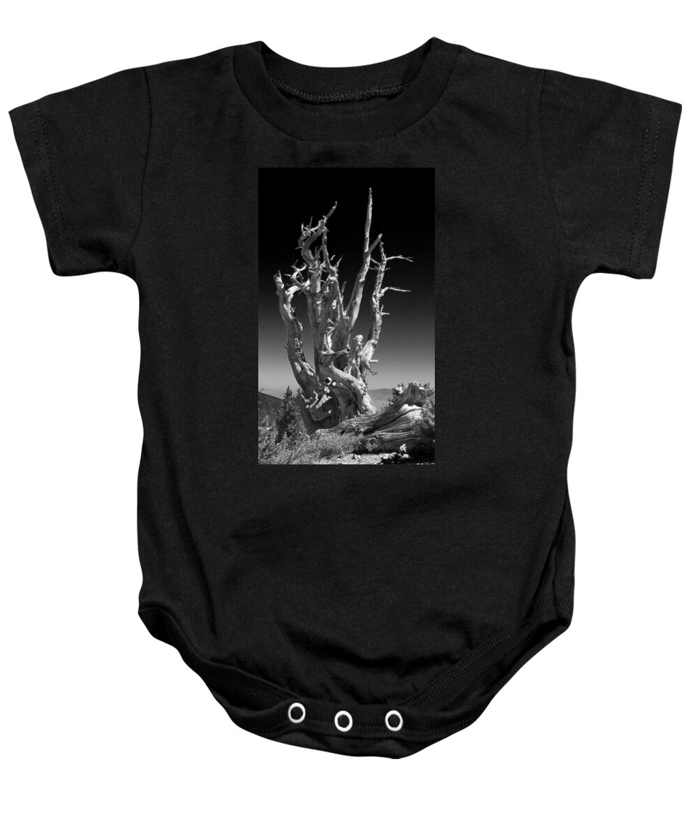 Tree Baby Onesie featuring the photograph Lone Bristlecone Black and White by Alan Socolik